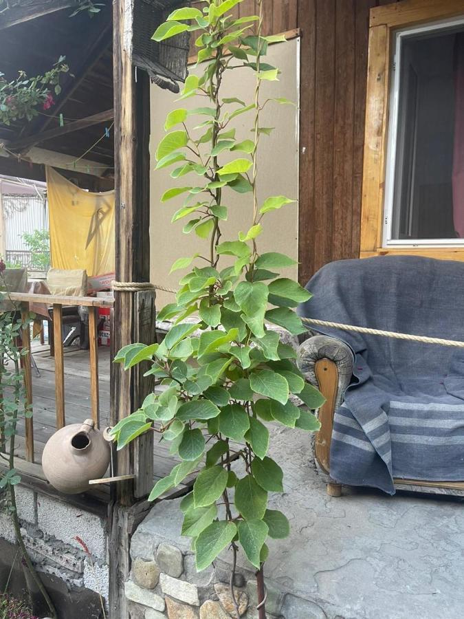 耶烈万Grig别墅 外观 照片